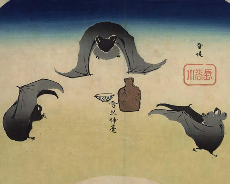 蝙蝠 | 國酒デジタルミュージアム
