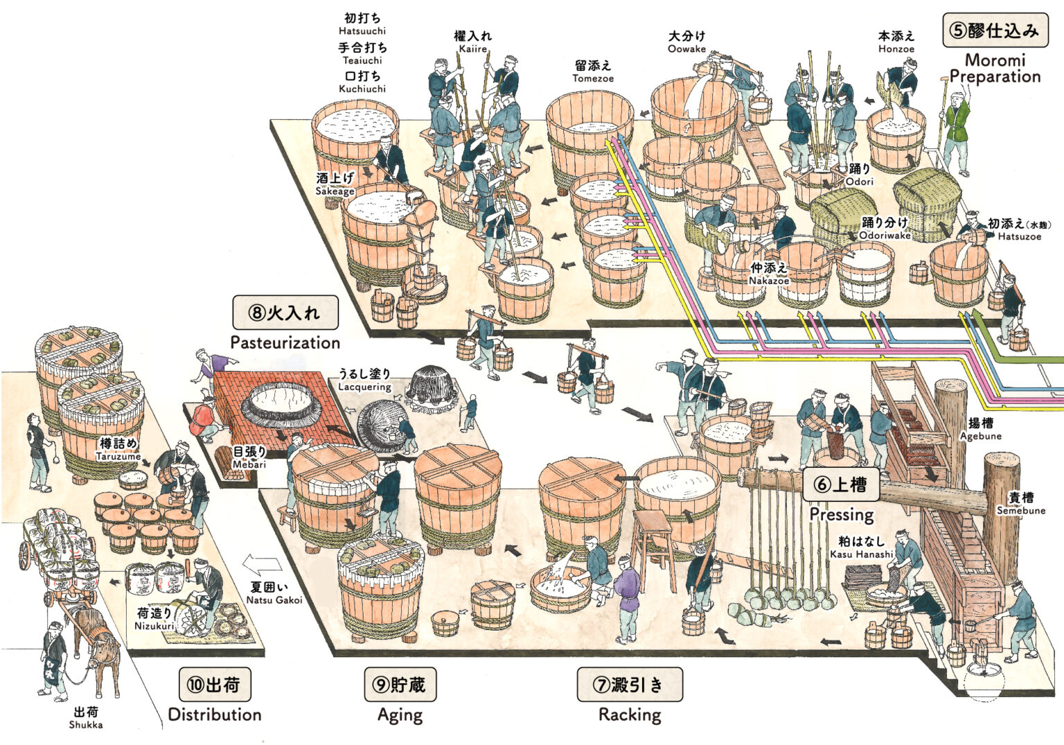 【解説】酒造りの工程と唄 | 國酒デジタルミュージアム